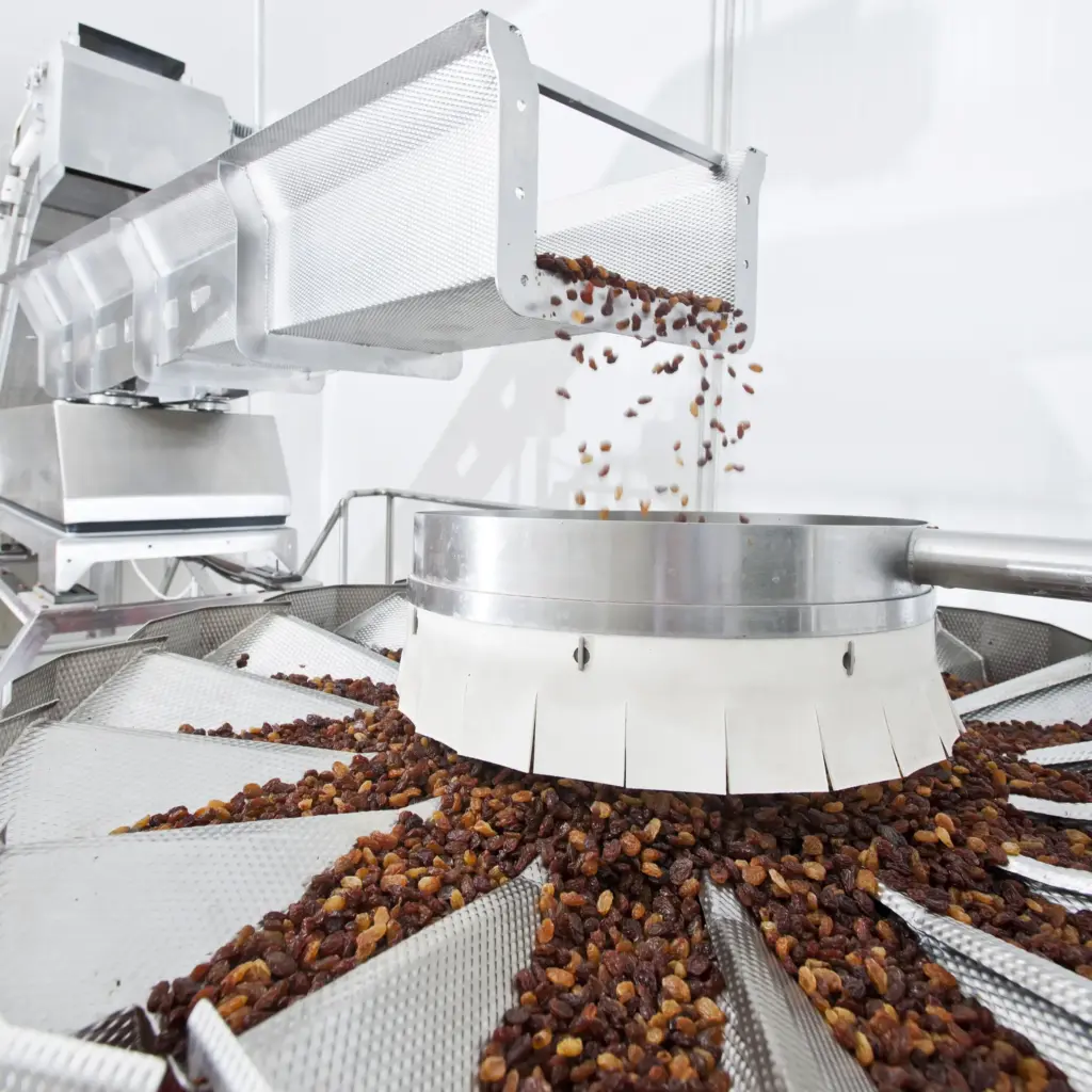 Food screening machines separate raisins on a conveyor belt.