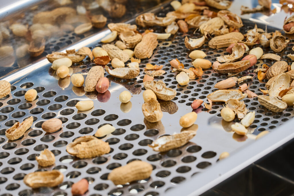 Peanuts on a sifting machine in food processing.