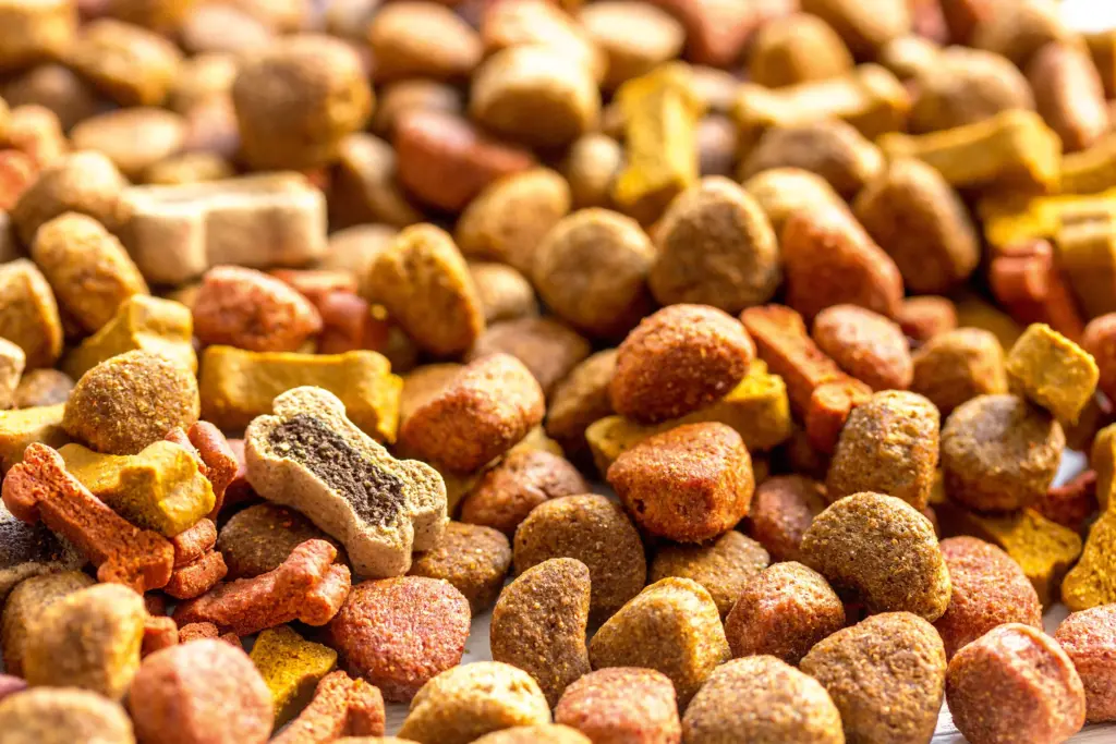 A closer look at pet food, in this case dog food